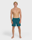 BILLABONG ALL DAY LB TPT